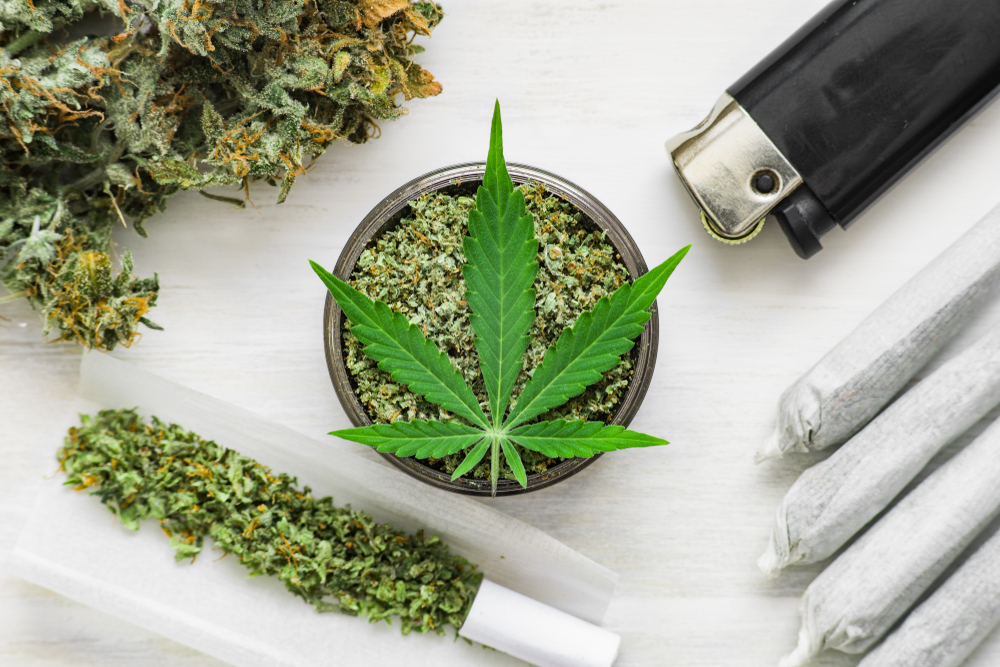 How to Choose the Right Grinder for Your Needs