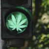 green traffic light with weed leaf sign