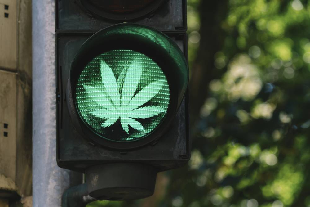 green traffic light with weed leaf sign