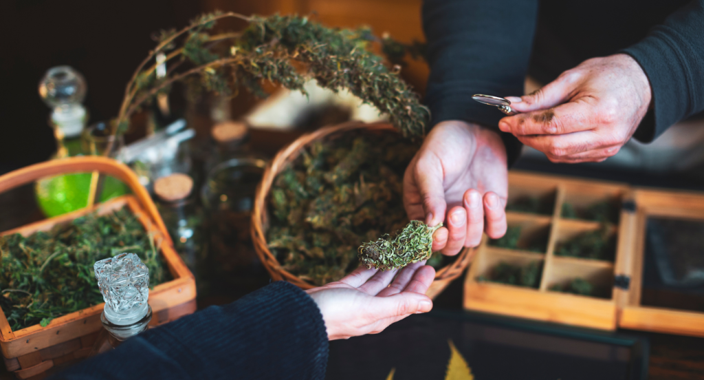 Where Can You Find Strawberry Cough?