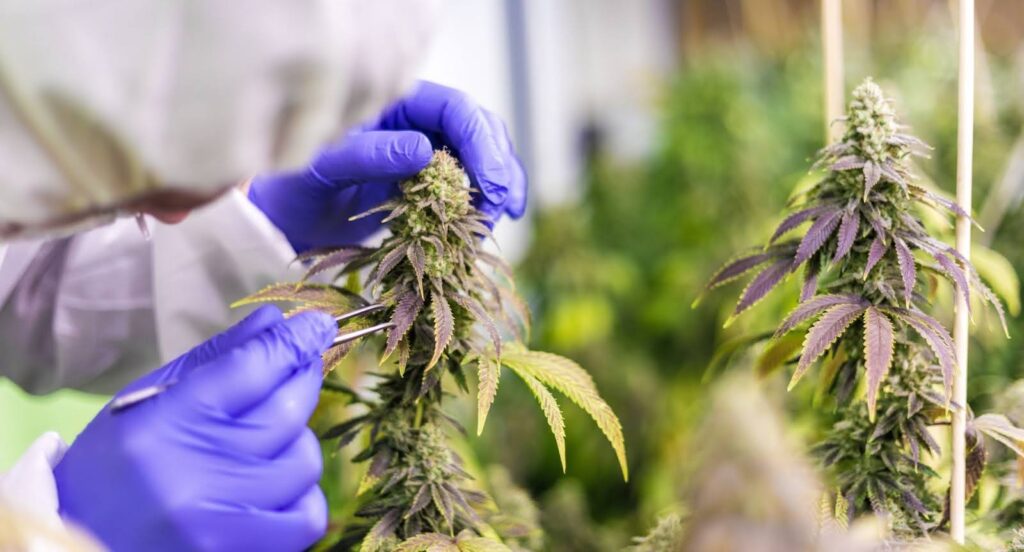 Quality And Lab Testing