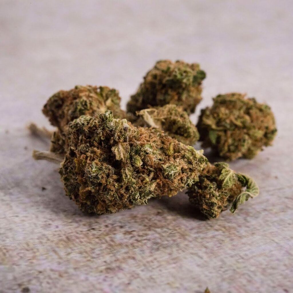 zkittlez strain weed