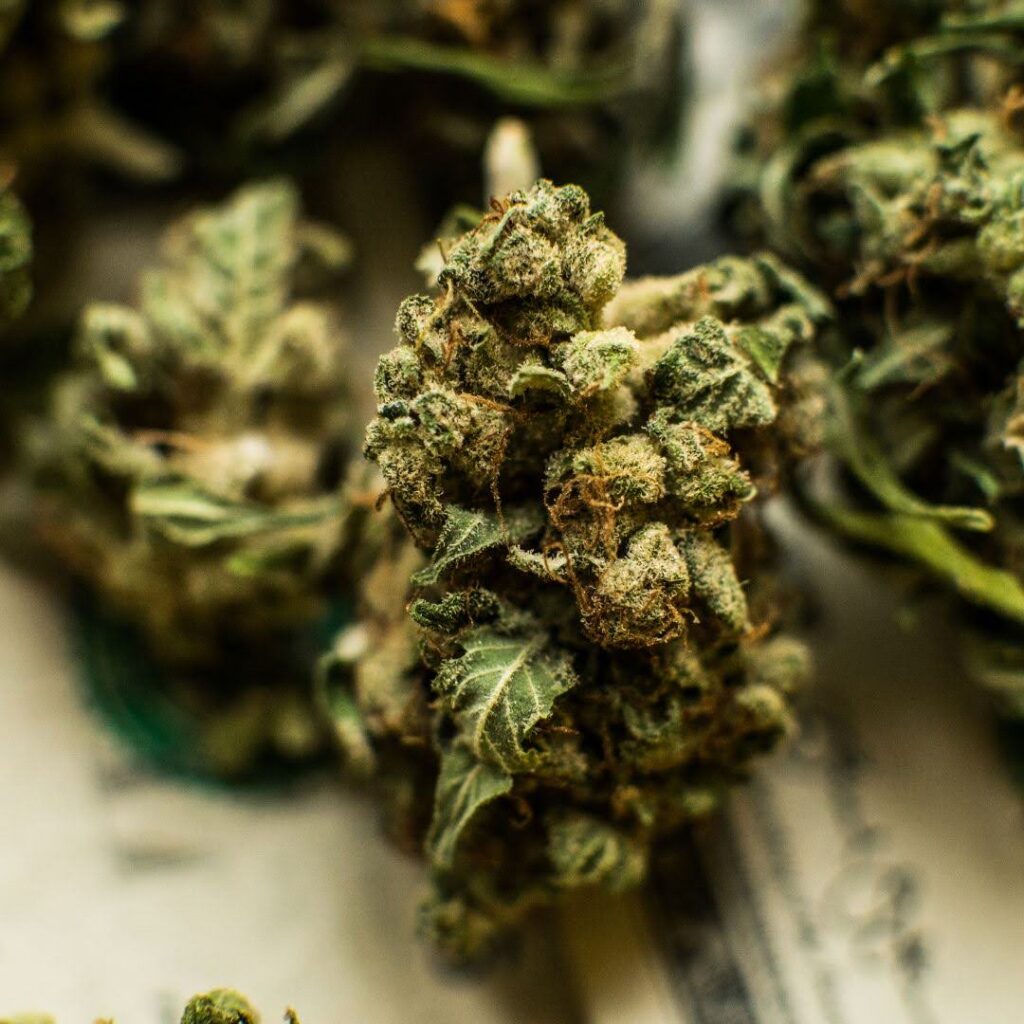 Harlequin Weed Strain