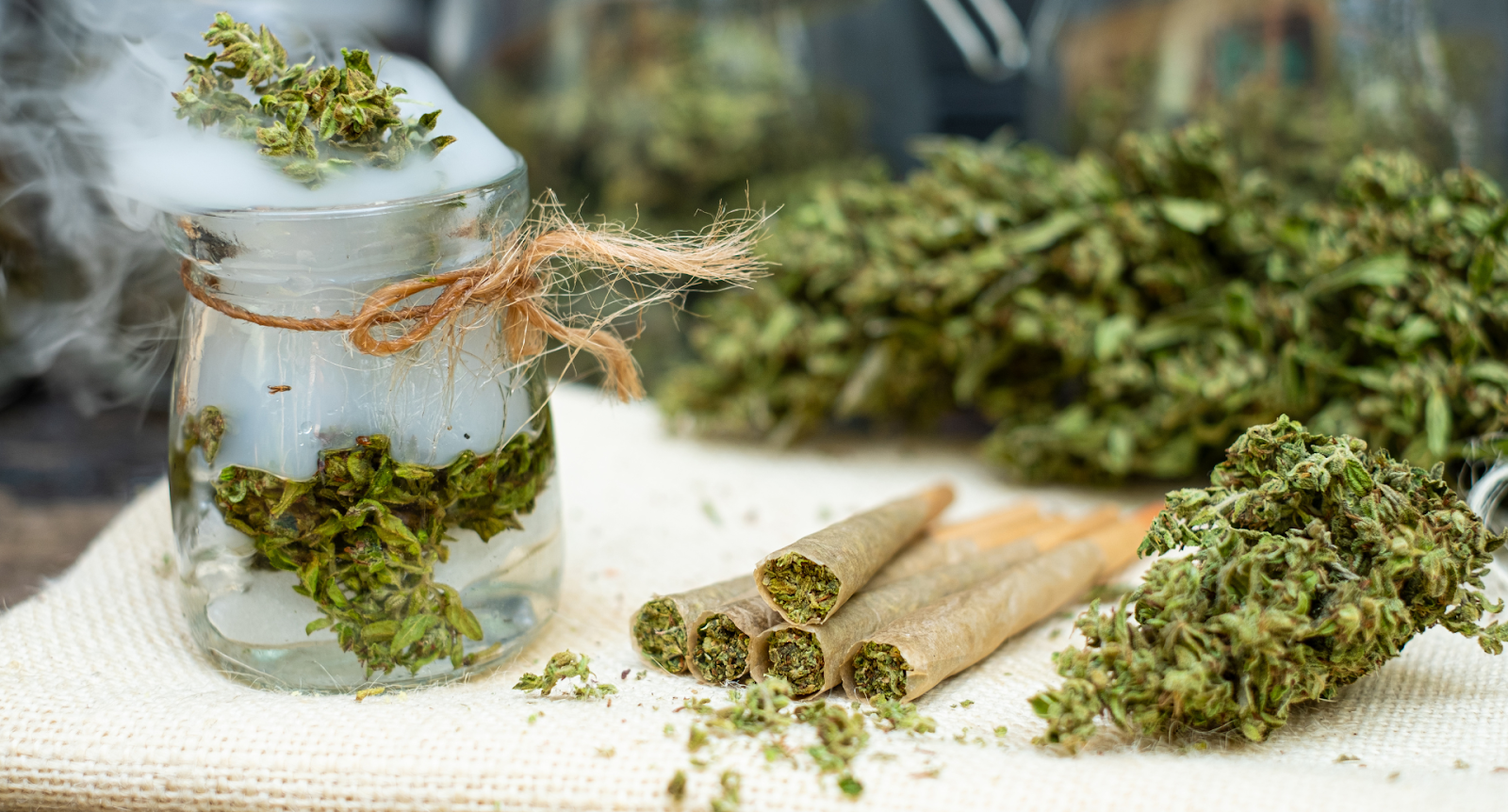 Sunset Sherbet Weed Strain