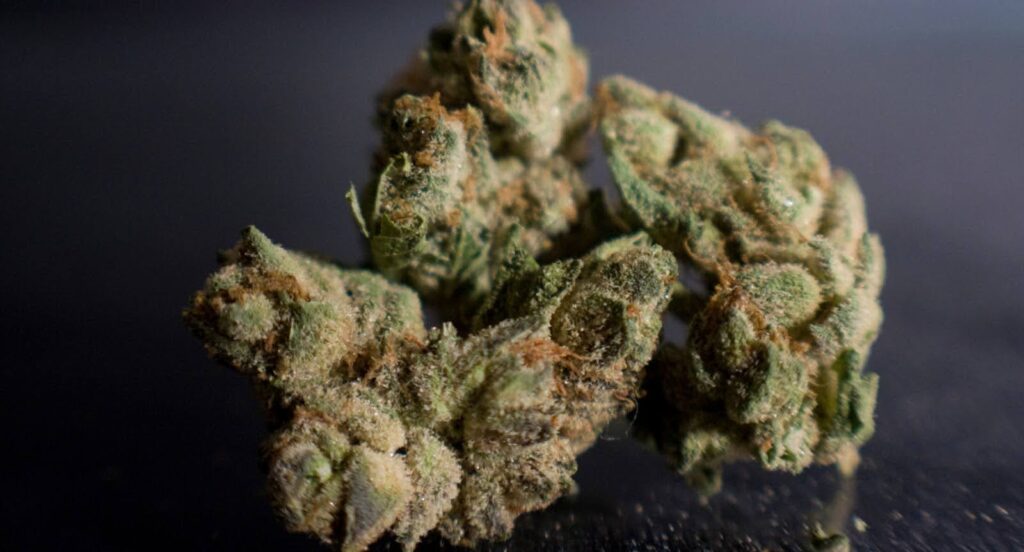 Bruce Banner Cannabis Strain