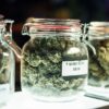 How To Store Your Cannabis For Maximum Freshness