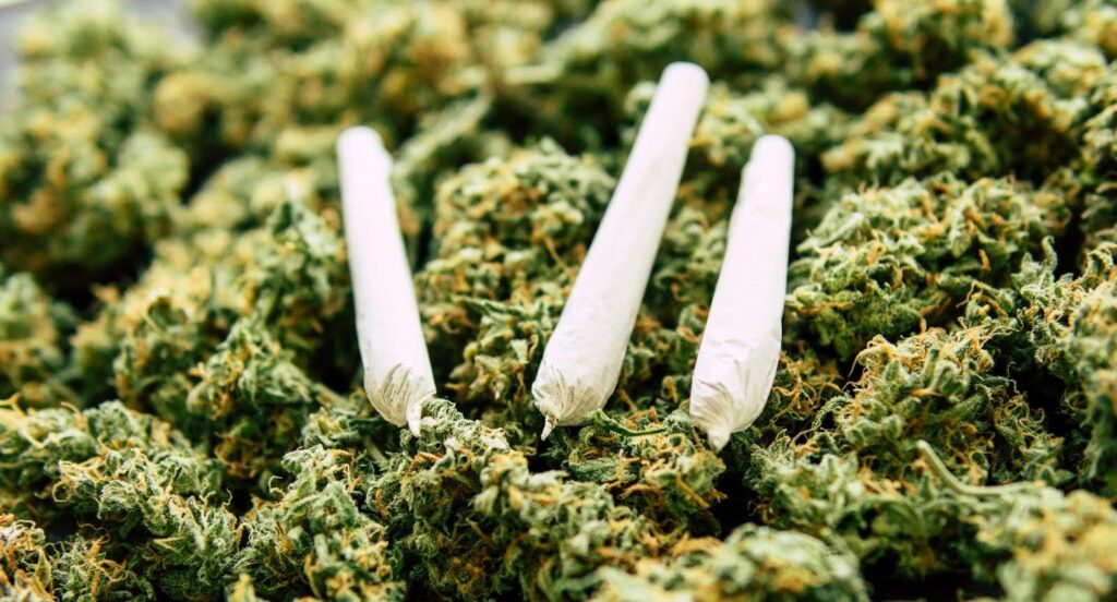 Is Weed Legal In Mississippi 