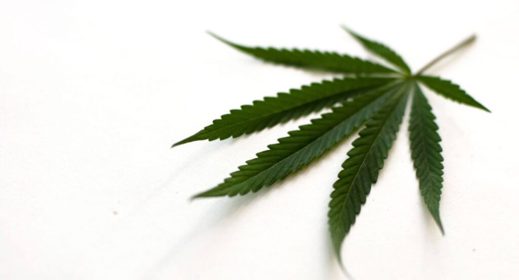  Is Weed Legal in Indiana