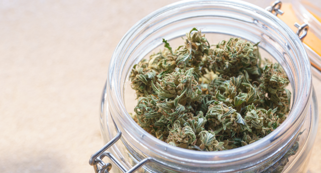 Choosing The Right Cannabis Strain For Mindfulness Practices