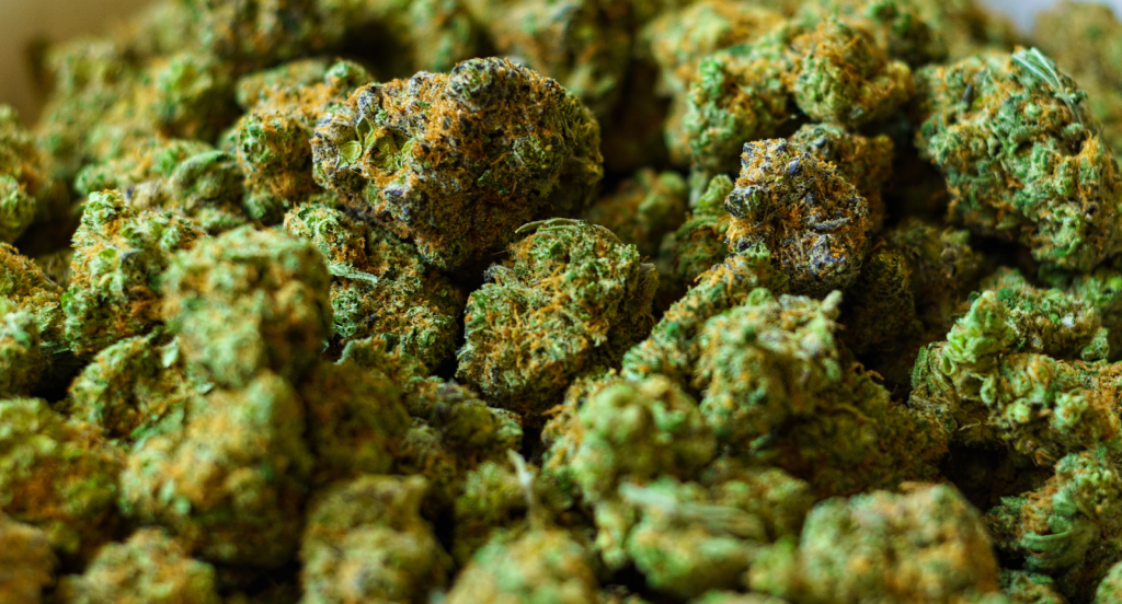 The Best Cannabis Strains For Different Moods And Activities