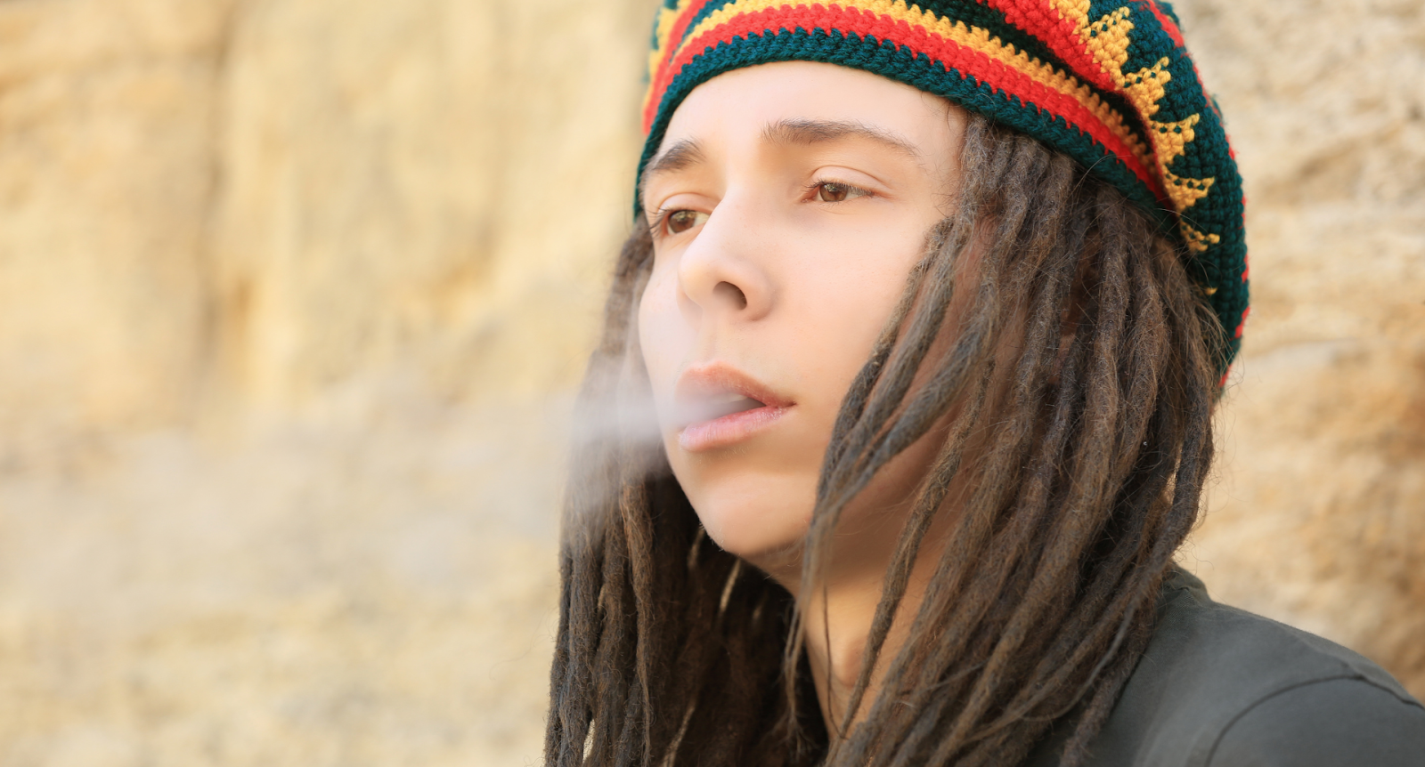 The Evolution Of Stoner Culture In Mainstream Media And Society