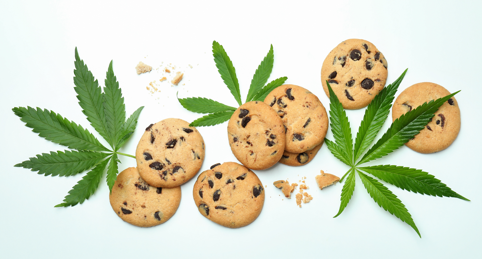 The Perfect Weed-Infused Chocolate Chip Cookies
