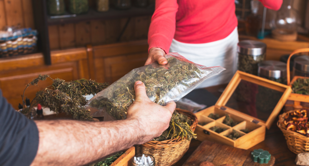 Factors That Affect Cannabis Freshness
