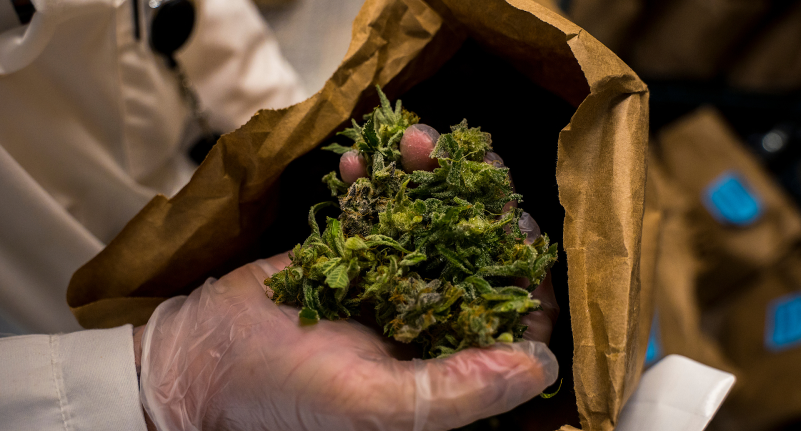 How To Store Your Cannabis To Keep It Fresh
