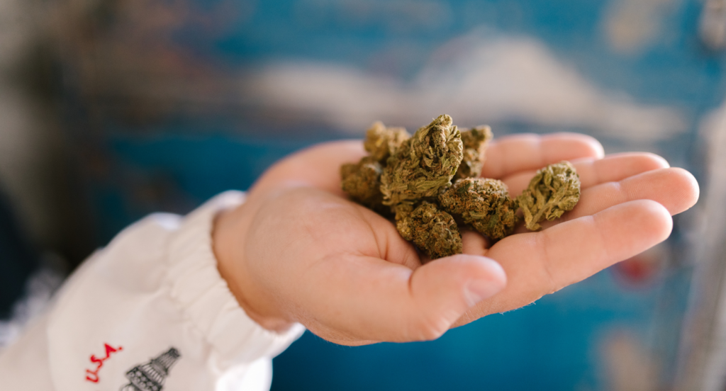 Top 10 Strains For Creativity Boost